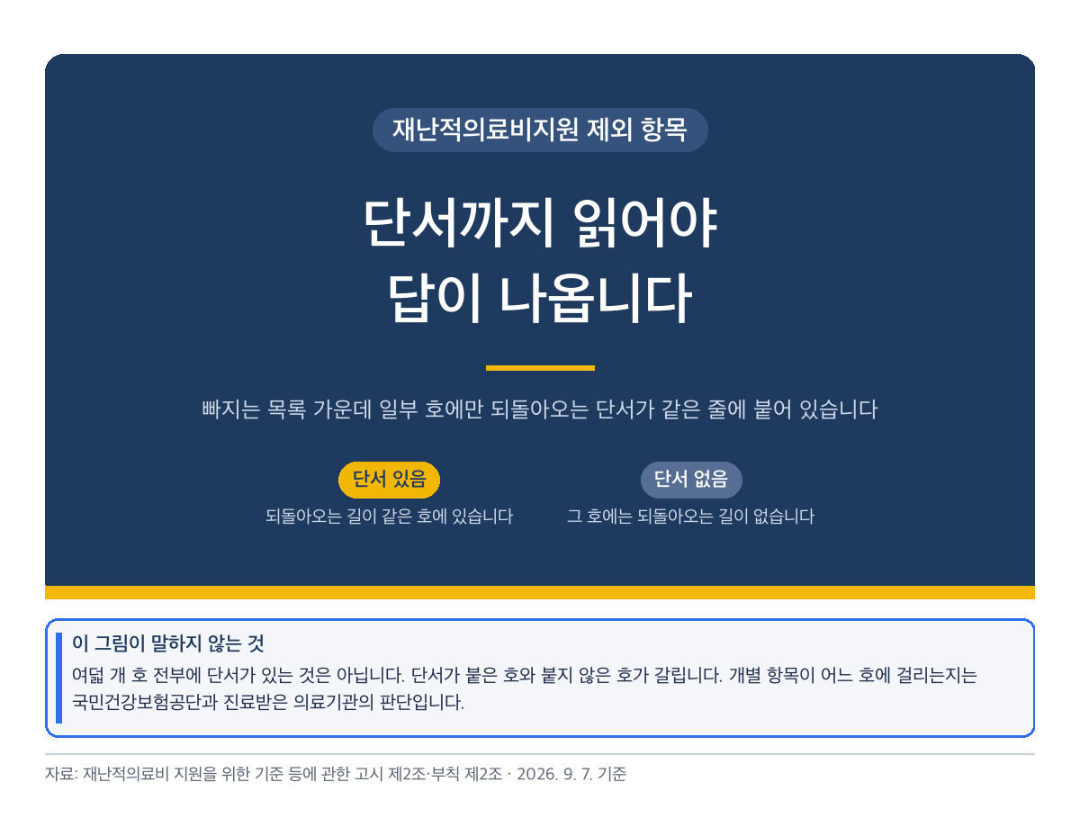 재난적의료비지원 제외 항목 — 단서까지 읽어야 답이 나옵니다 (썸네일)